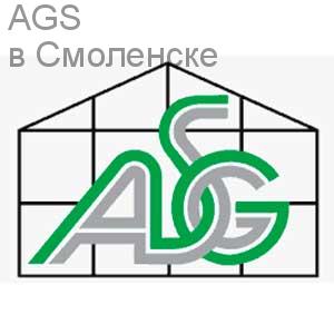 Профиль AGS